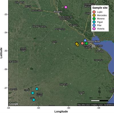 Habitats and parasitoid abundance influence spatial density dependence patterns, rendering an asilid fly as a potential biological controller of white grubs